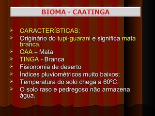    CARACTERÍSTICAS:
   Originário do tupi-guarani e significa mata
    branca.
   CAA – Mata
   TINGA - Branca
   Fisionomia de deserto
   Índices pluviométricos muito baixos;
   Temperatura do solo chega a 60ºC.
   O solo raso e pedregoso não armazena
    água.
 