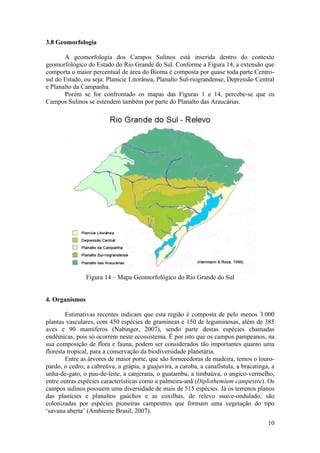 3.8 Geomorfologia

       A geomorfologia dos Campos Sulinos está inserida dentro do contexto
geomorfológico do Estado do Rio Grande do Sul. Conforme a Figura 14, a extensão que
comporta o maior percentual de área do Bioma é composta por quase toda parte Centro-
sul do Estado, ou seja: Planície Litorânea, Planalto Sul-riograndense, Depressão Central
e Planalto da Campanha.
       Porém se for confrontado os mapas das Figuras 1 e 14, percebe-se que os
Campos Sulinos se estendem também por parte do Planalto das Araucárias.




                Figura 14 – Mapa Geomorfológico do Rio Grande do Sul


4. Organismos

        Estimativas recentes indicam que esta região é composta de pelo menos 3.000
plantas vasculares, com 450 espécies de gramíneas e 150 de leguminosas, além de 385
aves e 90 mamíferos (Nabinger, 2007), sendo parte destas espécies chamadas
endêmicas, pois só ocorrem neste ecossistema. É por isto que os campos pampeanos, na
sua composição de flora e fauna, podem ser considerados tão importantes quanto uma
floresta tropical, para a conservação da biodiversidade planetária.
        Entre as árvores de maior porte, que são fornecedoras de madeira, temos o louro-
pardo, o cedro, a cabreúva, a grápia, a guajuvira, a caroba, a canafístula, a bracatinga, a
unha-de-gato, o pau-de-leite, a canjerana, o guatambu, a timbaúva, o angico-vermelho,
entre outras espécies características como a palmeira-anã (Diplothemium campestre). Os
campos sulinos possuem uma diversidade de mais de 515 espécies. Já os terrenos planos
das planícies e planaltos gaúchos e as coxilhas, de relevo suave-ondulado, são
colonizadas por espécies pioneiras campestres que formam uma vegetação do tipo
‘savana aberta’ (Ambiente Brasil, 2007).
                                                                                        10
 
