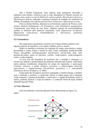 Para a família Cyperaceae, cujas espécies estão geralmente associadas a
ambientes mais úmidos, verificou-se que as mais abundantes no Planalto ocorrem em
campos secos, como é o caso de Bulbostylis sphaerocephala, Rhynchospora flexuosa e
Rhynchospora globosa, indicando a presença constante de umidade nos ambientes de
altitude. Os banhados são cobertos por Eleocharis bonariensis e Rhynchospora tenuis.
        Entre as demais famílias, destacam-se na fisionomia, espécies de Petunia, como
Petunia altiplana (Solanaceae) e de Glandularia, como Glandularia megapotamica
(Verbenaceae), pela beleza de suas flores. Algumas espécies de monocotiledôneas
também se destacam pelo potencial ornamental, como Hippeastrum breviflorum,
Hippeastrum santacatarina (Amaryllidaceae) e Alstroemeria isabelleana
(Alstroemeriaceae).

4.2 Consumidores

        Dos organismos consumidores existentes nos Campos Sulinos podemos citar
algumas espécies de mamíferos, aves, repteis, anfíbios, peixes e insetos.
        Dentre os mamíferos ocorrentes em vegetação de campo, áreas abertas e capões,
proximidade a corpos d’água e bordas de mato, foram constatadas: gambá-da-orelha
branca, tatu-galinha, morcego-pescador rato-do-junco, rato-do-mato, preá, cutia,
graxaim-do-campo, puma ou leão-baio, zorrilho, veado-mateiro, veado-catingueiro,
veado e veado-campeiro.
        As aves com alta frequência de ocorrência são: o pombão, o chimango e a
corruíra que indicam a predominância de ambientes alterados pelo homem. Além delas,
outras espécies consideradas obrigatórias de campo são registradas: o quero-quero
(Vanellus chilensis), a perdiz (Nothura maculosa), o polícia-inglesa (Sturnella
superciliaris), o chopim-do-brejo (Pseudoleistes guirahuro), e o veste-amarela
(Xanthopsar flavus) (Fontana et. al. 2006).
        Fazem parte das 50 espécies de peixes catalogadas o lambari-listrado, o lambari-
azul, o tamboatá, o surubim e o cação-anjo. Dentre os répteis grupo está a tartaruga-
verde-e-amarela, a jararaca-do-banhado, a cobra-cipó e o cágado-de-barbicha. Entre os
insetos, podemos destacar a vespa da madeira e o conhecido bicho-da-maçã, também
chamado traça-das-frutas.

4.3 Teia Alimentar

          Uma teia alimentar é caracterizada pela forma demonstrada na Figura 15 a
seguir:




                                Figura 15 – Teia Alimentar



                                                                                     12
 