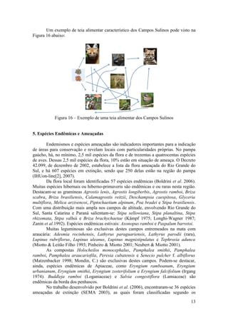 Um exemplo de teia alimentar característico dos Campos Sulinos pode visto na
Figura 16 abaixo:




           Figura 16 – Exemplo de uma teia alimentar dos Campos Sulinos


5. Espécies Endêmicas e Ameaçadas

        Endemismos e espécies ameaçadas são indicadores importantes para a indicação
de áreas para conservação e revelam locais com particularidades próprias. No pampa
gaúcho, há, no mínimo, 2,5 mil espécies da flora e de trezentas a quatrocentas espécies
de aves. Dessas 2,5 mil espécies da flora, 10% estão em situação de ameaça. O Decreto
42.099, de dezembro de 2002, estabelece a lista da flora ameaçada do Rio Grande do
Sul, e há 607 espécies em extinção, sendo que 250 delas estão na região do pampa
(IHUon-line[2], 2007).
        Da flora local foram identificadas 57 espécies endêmicas (Boldrini et al. 2006).
Muitas espécies hibernais ou hiberno-primaveris são endêmicas e ou raras nesta região.
Destacam-se as gramíneas Agrostis lenis, Agrostis longiberbis, Agrostis ramboi, Briza
scabra, Briza brasiliensis, Calamagrostis reitzii, Deschampsia caespitosa, Glyceria
multiflora, Melica arzivencoi, Piptochaetium alpinum, Poa bradei e Stipa brasiliensis.
Com uma distribuição mais ampla nos campos de altitude, envolvendo Rio Grande do
Sul, Santa Catarina e Paraná salientam-se: Stipa sellowiana, Stipa planaltina, Stipa
rhizomata, Stipa vallsii e Briza brachychaetae (Kämpf 1975; Longhi-Wagner 1987;
Zanin et al.1992). Espécies endêmicas estivais: Axonopus ramboi e Paspalum barretoi.
        Muitas leguminosas são exclusivas destes campos entremeados na mata com
araucária: Adesmia rocinhensis, Lathyrus paraguariensis, Lathyrus parodii (rara),
Lupinus rubriflorus, Lupinus uleanus, Lupinus magnistipulatus e Tephrosia adunca
(Miotto & Leitão Filho 1993; Pinheiro & Miotto 2001; Neubert & Miotto 2001).
        As compostas Holocheilos monocephalus, Pamphalea smithii, Pamphalea
ramboi, Pamphalea araucariofila, Peresia cubatensis e Senecio pulcher f. albiflorus
(Matzenbacker 1998; Mondin, C.) são exclusivas destes campos. Podem-se destacar,
ainda, espécies endêmicas de Apiaceae, como Eryngium ramboanum, Eryngium
urbanianum, Eryngium smithii, Eryngium zosterifolium e Eryngium falcifolium (Irgang
1974). Buddleja ramboi (Loganiaceae) e Salvia congestiflora (Lamiaceae) são
endêmicas da borda dos penhascos.
        No trabalho desenvolvido por Boldrini et al. (2006), encontraram-se 36 espécies
ameaçadas de extinção (SEMA 2003), as quais foram classificadas segundo os

                                                                                     13
 