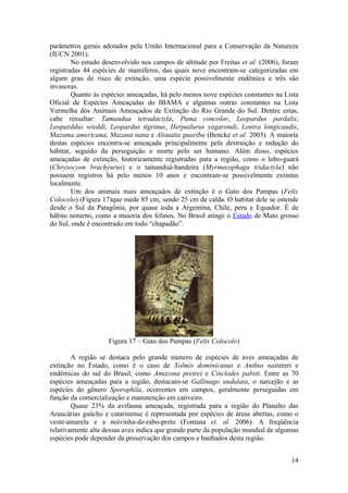 parâmetros gerais adotados pela União Internacional para a Conservação da Natureza
(IUCN 2001).
        No estudo desenvolvido nos campos de altitude por Freitas et al. (2006), foram
registradas 44 espécies de mamíferos, das quais nove encontram-se categorizadas em
algum grau de risco de extinção, uma espécie possivelmente endêmica e três são
invasoras.
        Quanto às espécies ameaçadas, há pelo menos nove espécies constantes na Lista
Oficial de Espécies Ameaçadas do IBAMA e algumas outras constantes na Lista
Vermelha dos Animais Ameaçados de Extinção do Rio Grande do Sul. Dentre estas,
cabe ressaltar: Tamandua tetradactyla, Puma concolor, Leopardus pardalis,
Leoparddus wieddi, Leopardus tigrinus, Herpailurus yagarondi, Lontra longicaudis,
Mazama americana, Mazana nana e Alouatta guariba (Bencke et al. 2003). A maioria
destas espécies encontra-se ameaçada principalmente pela destruição e redução do
hábitat, seguido da perseguição e morte pelo ser humano. Além disso, espécies
ameaçadas de extinção, historicamente registradas para a região, como o lobo-guará
(Chrysocyon brachyurus) e o tamanduá-bandeira (Myrmecophaga tridactyla) não
possuem registros há pelo menos 10 anos e encontram-se possivelmente extintas
localmente.
        Um dos animais mais ameaçados de extinção é o Gato dos Pampas (Felis
Colocolo) (Figura 17)que mede 85 cm, sendo 25 cm de calda. O habitat dele se estende
desde o Sul da Patagônia, por quase toda a Argentina, Chile, peru e Equador. É de
hábito noturno, como a maioria dos felinos. No Brasil atinge o Estado de Mato grosso
do Sul, onde é encontrado em todo “chapadão”.




                    Figura 17 – Gato dos Pampas (Felis Colocolo)

        A região se destaca pelo grande número de espécies de aves ameaçadas de
extinção no Estado, como é o caso de Xolmis dominicanus e Anthus nattereri e
endêmicas do sul do Brasil, como Amazona pretrei e Cinclodes pabsti. Entre as 70
espécies ameaçadas para a região, destacam-se Gallinago undulata, o narcejão e as
espécies do gênero Sporophila, ocorrentes em campos, geralmente perseguidas em
função da comercialização e manutenção em cativeiro.
        Quase 23% da avifauna ameaçada, registrada para a região do Planalto das
Araucárias gaúcho e catarinense é representada por espécies de áreas abertas, como o
veste-amarela e a noivinha-de-rabo-preto (Fontana et. al. 2006). A freqüência
relativamente alta dessas aves indica que grande parte da população mundial de algumas
espécies pode depender da preservação dos campos e banhados desta região.


                                                                                   14
 