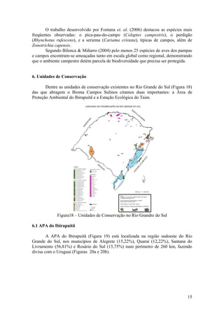 O trabalho desenvolvido por Fontana et. al. (2006) destacou as espécies mais
freqüentes observadas: o pica-pau-do-campo (Colaptes campestris), o perdigão
(Rhynchotus rufescens), e a seriema (Cariama cristata), típicas de campos, além de
Zonotrichia capensis.
       Segundo Bilenca & Miñarro (2004) pelo menos 25 espécies de aves dos pampas
e campos encontram-se ameaçadas tanto em escala global como regional, demonstrando
que o ambiente campestre detém parcela de biodiversidade que precisa ser protegida.


6. Unidades de Conservação

       Dentre as unidades de conservação existentes no Rio Grande do Sul (Figura 18)
das que abragem o Bioma Campos Sulinos citamos duas importantes: a Área de
Proteção Ambiental do Ibirapuitã e a Estação Ecológica do Taim.




             Figura18 – Unidades de Conservação no Rio Grandre do Sul

6.1 APA do Ibirapuitã

        A APA do Ibirapuitã (Figura 19) está localizada na região sudoeste do Rio
Grande do Sul, nos municípios de Alegrete (15,22%), Quaraí (12,22%), Santana do
Livramento (56,81%) e Rosário do Sul (15,75%) num perímetro de 260 km, fazendo
divisa com o Uruguai (Figuras 20a e 20b).




                                                                                 15
 