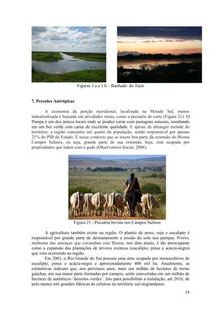 Figuras 1 a e 1 b – Banhado do Taim


7. Pressões Antrópicas

         A economia da porção meridional, localizada na Metade Sul, menos
industrializada é baseada em atividades rurais, como a pecuária de corte (Figura 21). O
Pampa é um dos únicos locais onde se produz carne com pastagens naturais, resultando
em um boi verde com carne de excelente qualidade. E apesar de abranger metade do
território, a região concentra um quarto da população, sendo responsável por apenas
21% do PIB do Estado. É nesse contexto que se insere boa parte da extensão do Bioma
Campos Sulinos, ou seja, grande parte de sua extensão, hoje, está ocupada por
propriedades que lidam com o gado (Observatório Social, 2008).




                        Figura 21 - Pecuária bovina nos Campos Sulinos

       A agricultura também existe na região. O plantio de arroz, soja e eucalipto é
responsável por grande parte do desmatamento e erosão do solo nos pampas. Porém,
nenhuma das ameaças que circundam este Bioma, nos dias atuais, é tão preocupante
como a expansão das plantações de árvores exóticas (eucalipto, pinus e acácia-negra)
que vem ocorrendo na região.
       Em 2001, o Rio Grande do Sul possuía uma área ocupada por monocultivos de
eucalipto, pinus e acácia-negra e aproximadamente 400 mil ha. Atualmente, as
estimativas indicam que, nos próximos anos, mais um milhão de hectares de terras
gaúchas, em sua maior parte formadas por campos, serão convertidas em um milhão de
hectares de autênticos ‘desertos verdes’. Isto para possibilitar a instalação, até 2010, de
pelo menos três grandes fábricas de celulose no território sul-riograndense.
                                                                                        18
 