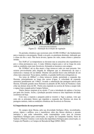 Figura 22 – Ilustração da evolução da vegetação

        Os períodos climáticos que ocorreram entre 42.000-10.000a.C são fundamentais
para a resposta a esta pergunta. Desde a era gelo, as gramíneas dominam, indicando que
o clima era frio e seco. Não havia árvores, apenas em vales, matas ciliares e planícies
úmidas.
        Em 10,00 a.C as temperaturas se elevaram mas as araucárias não expandiram-se
pois o clima permaneceu seco. A mata Atlântica migrou para o sul ao longo da costa
onde as condições eram mais favoráveis, formando-se mosaicos com campos.
        De 10.000a.C até os dias atuais o fogo tornou-se cada vez mais presente. Isto
ocorreu provavelmente pela chegada de indígenas que se alimentavam da caça e
realizavam o manejo do seu habitat. Durante este período houve uma definição de um
clima mais estacional. Nessa época, também, os grandes herbívoros extinguiram-se.
        Em torno de 4000a.C o clima tornou-se úmido, permitindo a expansão das
florestas, principalmente ao longo dos cursos d´água. A velocidade de expansão
aumentou grandemente até 1100a.C, levando a substituição das pastagens nativas pela
floresta, formando grandes áreas florestais no planalto do RS, Serra do Nordeste e mata
ciliar nas demais áreas do RS. Porém esta expansão na ocorreu de forma a ocupar todo
o espaço hoje ocupado pelos Campos Sulinos.
        Outros fatores surgiram já no século 17 com a introdução de eqüinos e bovinos
por parte dos Jesuíta. Assim, a produção pecuária tornou-se uma importante atividade
econômica até hoje.
        Com isso, a resposta a pergunta pode-se resumir a: fogo e pastejo, visto que
estes são os principais fatores que impedem a expansão das florestas em áreas de
pastagens naturais, onde as condições climáticas são favoráveis às florestas.

8.2 Importâncias da sua preservação

       Os campos deste Bioma, pela sua diversidade biológica (flora, invertebrados,
peixes, répteis e anfíbios, aves e mamíferos), além dos fatores abióticos e pressão
antrópica a que estão submetidos, estão contemplados como área de extrema
importância biológica para conservação, as regiões da Campanha Gaúcha, Serra do
Sudeste e Planície Costeira e com muita alta importância biológica para conservação, os
Campos do Planalto e os Campos de Baixada de Bagé (MMA 2002).

                                                                                    20
 