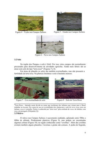 Figura 4 – Verão nos Campos Sulinos                  Figura 5 – Geada nos Campos Sulinos




                             Figura 6 – Neve nos Campos Sulinos

3.2 Solo

         Na região dos Pampas o solo é fértil. Por isso, estes campos são normalmente
procurados para desenvolvimento de atividades agrícolas. Ainda mais férteis são as
áreas com solo do tipo "terra roxa4" (Figuras 7 e 8).
         Em áreas de planalto os solos são também avermelhados, mas não possuem a
fertilidade da terra roxa. Na planície litorânea o solo é bastante arenoso.




    Figura 7 – Cor avermelhada do solo                       Figura 8 – Solo de Terra Roxa

4
 Terra Roxa – batizado assim devido ao nome que receberam dos italianos que vieram para o Brasil
trabalhar na lavoura. Por causa de sua cor avermelhada eles chamavam o solo de terra rossa, pois em
italiano, rosso é vermelho. Porém é conhecido por “terra roxa” pela confusão de rosso, do italiano, com
roxo, em português (Wikipedia [3]).
3.3 Relevo

       O relevo nos Campos Sulinos é suavemente ondulado, aplainado entre 500m e
800m de altitude. Predominam planícies (Figura 9), mas podem ser encontradas
algumas colinas (Figura 10), na região conhecidas como “coxilhas”. Além das coxilhas
existem também alguns planaltos. Cavernas e grutas são comuns. A pedra do Segredo,


                                                                                                     6
 