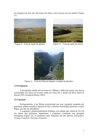 em Caçapava do Sul, tem 160 metros de altura e três cavernas em seu interior (Figura
11).




 Figura 9 – Vista da região de planície         Figura 10 – Vista da região de colinas




             Figura 11 – Vista da Pedra do Segredo, exemplo de planaltos

3.4 Precipitação

       A precipitação média está em torno de 1200mm e 1600 mm anuais com chuvas
concentradas nos meses de inverno sendo um clima frio e úmido (da Silva Júnior &
Sasson,1995; Uzunian & Birner, 2001).

3.5 Vegetação

        Ecologicamente, é um Bioma caracterizado por uma vegetação composta por
gramíneas, plantas rasteiras e algumas árvores e arbustos encontrados próximos a cursos
d'água, que não são abundantes.
        A vegetação é predominantemente herbácea, com alturas que variam de 10 a 50
cm, dentre elas gramíneas, leguminosas e compostas, compondo uma paisagem
homogênea (Figura 12). As gramíneas mais frequentes são dos gêneros Andropogon,
Aristida, Paspalum, Panicum e Eragrotis.




                                                                                         7
 
