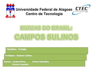 Universidade Federal de Alagoas Centro de Tecnologia 