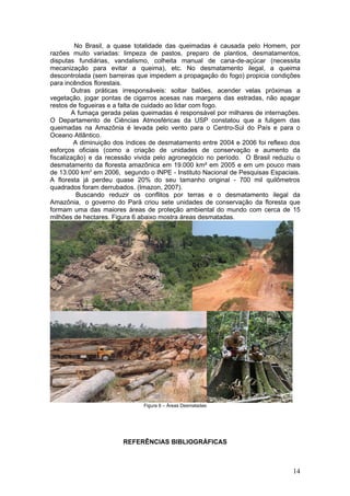 Bioma   Floresta Amazonica