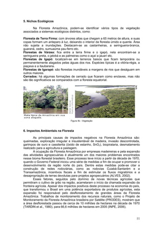 5. Nichos Ecológicos

       Na Floresta Amazônica, podem-se identificar vários tipos de vegetação
associados a sistemas ecológicos distintos, como:

Floresta de Terra Firma: com árvores altas que chegam a 65 metros de altura, e suas
copas formam um anteparo à luz, deixando o interior da floresta úmido e quente. Área
não sujeita a inundações. Destacam-se as castanheiras, a seringueira-branca,
guaraná, cedro, sumuaúma pau-ferro etc.
Florestas de Várzea: fica entre a terra firme e o igapó, nela encontram-se a
seringueira preta, o jatobá e as palmeiras como o açaí a jauarí etc.
Florestas de Igapó: localizam-se em terrenos baixos que ficam temporária ou
permanentemente alagados pelas águas dos rios. Espécies típicas é a vitória-régia, a
piaçava e a itaubarana.
Florestas de Igarapé: são florestas inundáveis a margens de rios que deságuam em
outros maiores.
Cerrados: há algumas formações de cerrado que ficaram como enclaves, mas não
são tão significativos se comparados com a floresta equatorial.




                                   Figura 4b - Vegetação



6. Impactos Ambientais na Floresta

        As principais causas de impactos negativos na Floresta Amazônica são:
queimadas, exploração irregular e insustentável de madeira, invasão descontrolada,
garimpos de ouro e cassiterita (óxido de estanho, SnO2), biopirataria, desmatamento
realizado para a agricultura e pastagem.
        A ocupação da Floresta Amazônica por empresas madeireiras e pela expansão
das atividades agropecuárias é atualmente um dos maiores problemas encontrados
nesse bioma florestal brasileiro. Esse processo teve início a partir da década de 1970,
quando o Governo Federal iniciou uma série de medidas a fim de ocupar e promover o
desenvolvimento da região norte do país. Dentre estas medidas pode-se citar a
construção de redes rodoviárias, como as rodovias Cuiabá-Santarém e a
Transamazônica, incentivos fiscais a fim de estimular os fluxos migratórios e a
desapropriação de terras devolutas para projetos agropecuários (ALVES, 2002).
        Esses fatores, seguidos pelo domínio de novas técnicas agrícolas que
permitiram o cultivo de grão na região, acarretaram o início da chamada expansão da
fronteira agrícola. Apesar dos impactos positivos deste processo na economia do país,
que transformou o Brasil em uma potência exportadora de produtos agrícolas, esta
expansão foi responsável pelo desflorestamento de grandes áreas da Floresta
Amazônica. Trabalhos de monitoramento dos recursos naturais, como o Projeto de
Monitoramento da Floresta Amazônica brasileira por Satélite (PRODES), mostram que
a área desflorestada passou de cerca de 10 milhões de hectares na década de 1970
(TARDIN et al., 1980), para 66,6 milhões de hectares em 2005 (INPE, 2006).


                                                                                    11
 