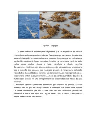 Figura 1 - Sargaços


      A zona nectónica é habitada pelos organismos que são capazes de se deslocar

independentemente das correntes oceânicas. Tais organismos são capazes de determinar
a sua própria posição em áreas relativamente pequenas dos oceanos e, em muitos casos,
são também capazes de longas migrações. Incluídos na comunidade nectónica estão
muitos   peixes    adultos,   chocos    e   lulas,   mamíferos    e    répteis   marinhos.
Os organismos nectónicos, com algumas excepções, não são capazes de se deslocar a
toda a extensão dos oceanos, pois mudanças graduais da temperatura, salinidade,
viscosidade e disponibilidade de nutrientes cria barreiras invisíveis mas impenetráveis que
efectivamente limitam os seus movimentos. A morte de grandes quantidades de peixes é,
muitas vezes, causada por uma alteração lateral das características das massas de água
oceânicas.
O movimento vertical é geralmente determinado pela diferença de pressão. É o que
acontece com os que têm bexiga natatória e mamíferos que vivem nesta biozona.
Os peixes distribuem-se por toda a área, mas são mais abundantes próximo dos
continentes e ilhas e nas águas frias. Alguns peixes, como o salmão, a lampreia e a
enguia, sobem aos rios para desovar.
 