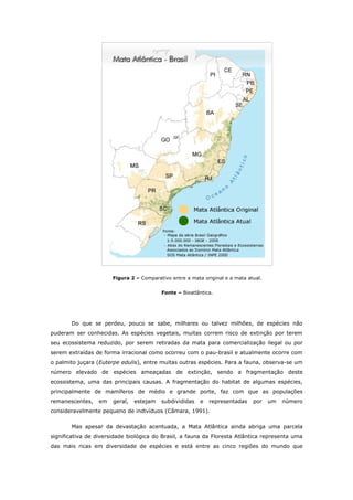 Figura 2 – Comparativo entre a mata original e a mata atual.


                                          Fonte – Bioatlântica.




       Do que se perdeu, pouco se sabe, milhares ou talvez milhões, de espécies não
puderam ser conhecidas. As espécies vegetais, muitas correm risco de extinção por terem
seu ecossistema reduzido, por serem retiradas da mata para comercialização ilegal ou por
serem extraídas de forma irracional como ocorreu com o pau-brasil e atualmente ocorre com
o palmito juçara (Euterpe edulis), entre muitas outras espécies. Para a fauna, observa-se um
número elevado de espécies ameaçadas de extinção, sendo a fragmentação deste
ecossistema, uma das principais causas. A fragmentação do habitat de algumas espécies,
principalmente de mamíferos de médio e grande porte, faz com que as populações
remanescentes,    em   geral,   estejam   subdivididas    e   representadas    por    um   número
consideravelmente pequeno de indivíduos (Câmara, 1991).

       Mas apesar da devastação acentuada, a Mata Atlântica ainda abriga uma parcela
significativa de diversidade biológica do Brasil, a fauna da Floresta Atlântica representa uma
das mais ricas em diversidade de espécies e está entre as cinco regiões do mundo que
 