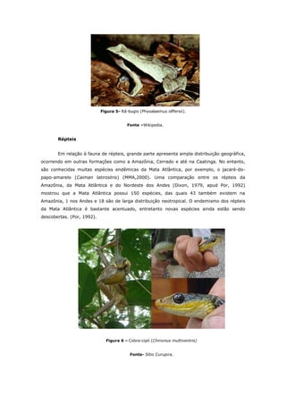 Figura 5- Rã-bugio (Physalaemus olffersii).


                                         Fonte –Wikipedia.


       Répteis


       Em relação à fauna de répteis, grande parte apresenta ampla distribuição geográfica,
ocorrendo em outras formações como a Amazônia, Cerrado e até na Caatinga. No entanto,
são conhecidas muitas espécies endêmicas da Mata Atlântica, por exemplo, o jacaré-do-
papo-amarelo (Caiman latirostris) (MMA,2000). Uma comparação entre os répteis da
Amazônia, da Mata Atlântica e do Nordeste dos Andes (Dixon, 1979, apud Por, 1992)
mostrou que a Mata Atlântica possui 150 espécies, das quais 43 também existem na
Amazônia, 1 nos Andes e 18 são de larga distribuição neotropical. O endemismo dos répteis
da Mata Atlântica é bastante acentuado, entretanto novas espécies ainda estão sendo
descobertas. (Por, 1992).




                              Figura 6 – Cobra-cipó (Chironius multiventris)


                                          Fonte- Sítio Curupira.
 