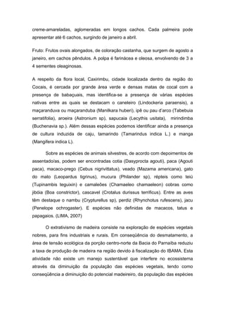 creme-amareladas, aglomeradas em longos cachos. Cada palmeira pode
apresentar até 6 cachos, surgindo de janeiro a abril.

Fruto: Frutos ovais alongados, de coloração castanha, que surgem de agosto a
janeiro, em cachos pêndulos. A polpa é farinácea e oleosa, envolvendo de 3 a
4 sementes oleaginosas.

A respeito da flora local, Caxirimbu, cidade localizada dentro da região do
Cocais, é cercada por grande área verde e densas matas de cocal com a
presença de babaçuais, mas identifica-se a presença de várias espécies
nativas entre as quais se destacam o caneleiro (Lindockeria paraensis), a
maçaranduva ou maçaranduba (Manilkara huberi), ipê ou pau d’arco (Tabebuia
serratifolia), aroeira (Astronium sp), sapucaia (Lecythis usitata),   mirindimba
(Buchenavia sp.). Além dessas espécies podemos identificar ainda a presença
de cultura induzida de caju, tamarindo (Tamarindus indica L.) e manga
(Mangifera indica L).

      Sobre as espécies de animais silvestres, de acordo com depoimentos de
assentado/as, podem ser encontradas cotia (Dasyprocta agouti), paca (Agouti
paca), macaco-prego (Cebus nigrivittatus), veado (Mazama americana), gato
do mato (Leopardus tigrinus), mucura (Philander sp), répteis como teiú
(Tupinambis teguixin) e camaleões (Chamaeleo chamaeleon) cobras como
jibóia (Boa constrictor), cascavel (Crotalus durissus terrificus). Entre as aves
têm destaque o nambu (Crypturellus sp), perdiz (Rhynchotus rufescens), jacu
(Penelope ochrogaster). E espécies não definidas de macacos, tatus e
papagaios. (LIMA, 2007)

      O extrativismo de madeira consiste na exploração de espécies vegetais
nobres, para fins industriais e rurais. Em conseqüência do desmatamento, a
área de tensão ecológica da porção centro-norte da Bacia do Parnaíba reduziu
a taxa de produção de madeira na região devido à fiscalização do IBAMA. Esta
atividade não existe um manejo sustentável que interfere no ecossistema
através da diminuição da população das espécies vegetais, tendo como
conseqüência a diminuição do potencial madeireiro, da população das espécies
 