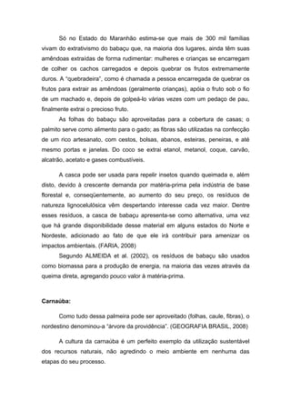 Só no Estado do Maranhão estima-se que mais de 300 mil famílias
vivam do extrativismo do babaçu que, na maioria dos lugares, ainda têm suas
amêndoas extraídas de forma rudimentar: mulheres e crianças se encarregam
de colher os cachos carregados e depois quebrar os frutos extremamente
duros. A “quebradeira”, como é chamada a pessoa encarregada de quebrar os
frutos para extrair as amêndoas (geralmente crianças), apóia o fruto sob o fio
de um machado e, depois de golpeá-lo várias vezes com um pedaço de pau,
finalmente extrai o precioso fruto.
      As folhas do babaçu são aproveitadas para a cobertura de casas; o
palmito serve como alimento para o gado; as fibras são utilizadas na confecção
de um rico artesanato, com cestos, bolsas, abanos, esteiras, peneiras, e até
mesmo portas e janelas. Do coco se extrai etanol, metanol, coque, carvão,
alcatrão, acetato e gases combustíveis.

      A casca pode ser usada para repelir insetos quando queimada e, além
disto, devido à crescente demanda por matéria-prima pela indústria de base
florestal e, conseqüentemente, ao aumento do seu preço, os resíduos de
natureza lignocelulósica vêm despertando interesse cada vez maior. Dentre
esses resíduos, a casca de babaçu apresenta-se como alternativa, uma vez
que há grande disponibilidade desse material em alguns estados do Norte e
Nordeste, adicionado ao fato de que ele irá contribuir para amenizar os
impactos ambientais. (FARIA, 2008)
      Segundo ALMEIDA et al. (2002), os resíduos de babaçu são usados
como biomassa para a produção de energia, na maioria das vezes através da
queima direta, agregando pouco valor à matéria-prima.



Carnaúba:

      Como tudo dessa palmeira pode ser aproveitado (folhas, caule, fibras), o
nordestino denominou-a “árvore da providência”. (GEOGRAFIA BRASIL, 2008)

      A cultura da carnaúba é um perfeito exemplo da utilização sustentável
dos recursos naturais, não agredindo o meio ambiente em nenhuma das
etapas do seu processo.
 