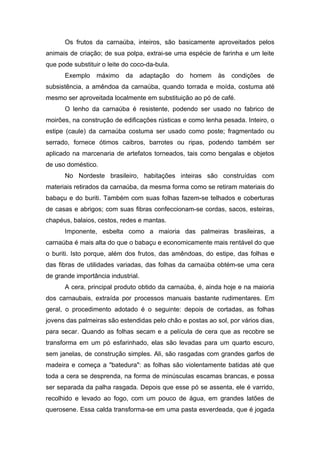 Os frutos da carnaúba, inteiros, são basicamente aproveitados pelos
animais de criação; de sua polpa, extrai-se uma espécie de farinha e um leite
que pode substituir o leite do coco-da-bula.
      Exemplo     máximo    da      adaptação   do   homem   às   condições   de
subsistência, a amêndoa da carnaúba, quando torrada e moída, costuma até
mesmo ser aproveitada localmente em substituição ao pó de café.
      O lenho da carnaúba é resistente, podendo ser usado no fabrico de
moirões, na construção de edificações rústicas e como lenha pesada. Inteiro, o
estipe (caule) da carnaúba costuma ser usado como poste; fragmentado ou
serrado, fornece ótimos caibros, barrotes ou ripas, podendo também ser
aplicado na marcenaria de artefatos torneados, tais como bengalas e objetos
de uso doméstico.
      No Nordeste brasileiro, habitações inteiras são construídas com
materiais retirados da carnaúba, da mesma forma como se retiram materiais do
babaçu e do buriti. Também com suas folhas fazem-se telhados e coberturas
de casas e abrigos; com suas fibras confeccionam-se cordas, sacos, esteiras,
chapéus, balaios, cestos, redes e mantas.
      Imponente, esbelta como a maioria das palmeiras brasileiras, a
carnaúba é mais alta do que o babaçu e economicamente mais rentável do que
o buriti. Isto porque, além dos frutos, das amêndoas, do estipe, das folhas e
das fibras de utilidades variadas, das folhas da carnaúba obtém-se uma cera
de grande importância industrial.
      A cera, principal produto obtido da carnaúba, é, ainda hoje e na maioria
dos carnaubais, extraída por processos manuais bastante rudimentares. Em
geral, o procedimento adotado é o seguinte: depois de cortadas, as folhas
jovens das palmeiras são estendidas pelo chão e postas ao sol, por vários dias,
para secar. Quando as folhas secam e a película de cera que as recobre se
transforma em um pó esfarinhado, elas são levadas para um quarto escuro,
sem janelas, de construção simples. Ali, são rasgadas com grandes garfos de
madeira e começa a "batedura": as folhas são violentamente batidas até que
toda a cera se desprenda, na forma de minúsculas escamas brancas, e possa
ser separada da palha rasgada. Depois que esse pó se assenta, ele é varrido,
recolhido e levado ao fogo, com um pouco de água, em grandes latões de
querosene. Essa calda transforma-se em uma pasta esverdeada, que é jogada
 