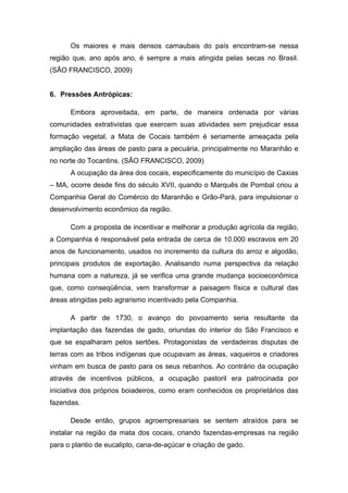 Os maiores e mais densos carnaubais do país encontram-se nessa
região que, ano após ano, é sempre a mais atingida pelas secas no Brasil.
(SÃO FRANCISCO, 2009)


6. Pressões Antrópicas:

      Embora aproveitada, em parte, de maneira ordenada por várias
comunidades extrativistas que exercem suas atividades sem prejudicar essa
formação vegetal, a Mata de Cocais também é seriamente ameaçada pela
ampliação das áreas de pasto para a pecuária, principalmente no Maranhão e
no norte do Tocantins. (SÃO FRANCISCO, 2009)
      A ocupação da área dos cocais, especificamente do município de Caxias
– MA, ocorre desde fins do século XVII, quando o Marquês de Pombal criou a
Companhia Geral do Comércio do Maranhão e Grão-Pará, para impulsionar o
desenvolvimento econômico da região.

      Com a proposta de incentivar e melhorar a produção agrícola da região,
a Companhia é responsável pela entrada de cerca de 10.000 escravos em 20
anos de funcionamento, usados no incremento da cultura do arroz e algodão,
principais produtos de exportação. Analisando numa perspectiva da relação
humana com a natureza, já se verifica uma grande mudança socioeconômica
que, como conseqüência, vem transformar a paisagem física e cultural das
áreas atingidas pelo agrarismo incentivado pela Companhia.

      A partir de 1730, o avanço do povoamento seria resultante da
implantação das fazendas de gado, oriundas do interior do São Francisco e
que se espalharam pelos sertões. Protagonistas de verdadeiras disputas de
terras com as tribos indígenas que ocupavam as áreas, vaqueiros e criadores
vinham em busca de pasto para os seus rebanhos. Ao contrário da ocupação
através de incentivos públicos, a ocupação pastoril era patrocinada por
iniciativa dos próprios boiadeiros, como eram conhecidos os proprietários das
fazendas.

      Desde então, grupos agroempresariais se sentem atraídos para se
instalar na região da mata dos cocais, criando fazendas-empresas na região
para o plantio de eucalipto, cana-de-açúcar e criação de gado.
 