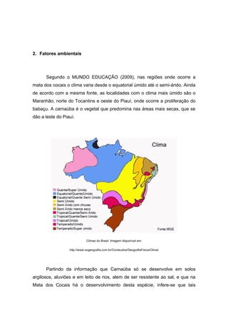 2. Fatores ambientais




      Segundo o MUNDO EDUCAÇÃO (2009), nas regiões onde ocorre a
mata dos cocais o clima varia desde o equatorial úmido até o semi-árido. Ainda
de acordo com a mesma fonte, as localidades com o clima mais úmido são o
Maranhão, norte do Tocantins e oeste do Piauí, onde ocorre a proliferação do
babaçu. A carnaúba é o vegetal que predomina nas áreas mais secas, que se
dão a leste do Piauí.




                             Climas do Brasil. Imagem disponível em:

                  http://www.sogeografia.com.br/Conteudos/GeografiaFisica/Clima/




      Partindo da informação que Carnaúba só se desenvolve em solos
argilosos, aluviões e em leito de rios, alem de ser resistente ao sal, e que na
Mata dos Cocais há o desenvolvimento desta espécie, infere-se que tais
 