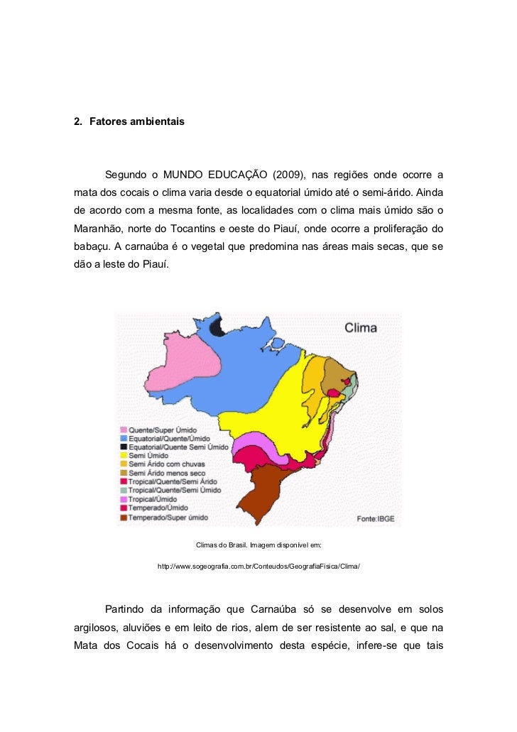 O Bioma Dos Cocais Caracteriza Se Principalmente Pela Presença De
