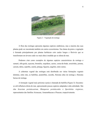 6




                                 Figura 2 – Vegetação de restinga



       A flora das restingas apresenta algumas espécies endêmicas, mas a maioria das suas
plantas pode ser encontrada também em outros ecossistemas. Nas dunas da praia a vegetação
é formada principalmente por plantas herbáceas com caules longos e flexíveis que se
transformam em árvores cada vez mais altas à medida que se afasta do mar.

       Podemos citar como exemplos de algumas espécies características da restinga o
sumaré, alfa-goela, açucena, bromélia, orquídeas, cactos, coroa-de-frade, aroeirinha, jurema,
caixeta, taboa, sepetiba, canela, pitanga, figueira, angelim, entre outras.

       A cobertura vegetal das restingas está distribuída em várias formações vegetais
distintas, entre elas, as halófitas, psamófilas, escrube, florestas altas de restinga e florestas
baixas de restinga.

       A formação vegetal mais próxima à praia é chamada de halófila (Figura 3). Encontra-
se sob influência direta do mar, apresentando poucas espécies adaptadas à alta salinidade. São
elas Sesuvium portulacastrum, Blutaparon portulacoides e Sporobolus virginicus,
representantes das famílias Aizoaceae, Amaranthaceae e Poaceae, respectivamente.
 