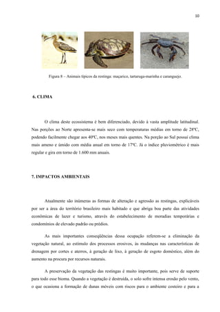 10




         Figura 8 – Animais típicos da restinga: maçarico, tartaruga-marinha e caranguejo.




6. CLIMA




       O clima deste ecossistema é bem diferenciado, devido à vasta amplitude latitudinal.
Nas porções ao Norte apresenta-se mais seco com temperaturas médias em torno de 28ºC,
podendo facilmente chegar aos 40ºC, nos meses mais quentes. Na porção ao Sul possui clima
mais ameno e úmido com média anual em torno de 17ºC. Já o índice pluviométrico é mais
regular e gira em torno de 1.600 mm anuais.




7. IMPACTOS AMBIENTAIS




       Atualmente são inúmeras as formas de alteração e agressão as restingas, explicáveis
por ser a área do território brasileiro mais habitado e que abriga boa parte das atividades
econômicas de lazer e turismo, através do estabelecimento de moradias temporárias e
condomínios de elevado padrão ou prédios.

       As mais importantes conseqüências dessa ocupação referem-se a eliminação da
vegetação natural, ao estímulo dos processos erosivos, às mudanças nas características de
drenagem por cortes e aterros, à geração de lixo, à geração de esgoto doméstico, além do
aumento na procura por recursos naturais.

       A preservação da vegetação das restingas é muito importante, pois serve de suporte
para todo esse bioma. Quando a vegetação é destruída, o solo sofre intensa erosão pelo vento,
o que ocasiona a formação de dunas móveis com riscos para o ambiente costeiro e para a
 