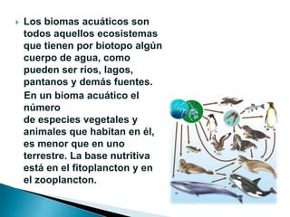 Bioma acuatico | PPTX