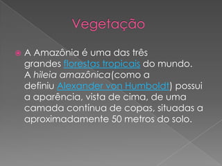    A Amazônia é uma das três
    grandes florestas tropicais do mundo.
    A hileia amazônica(como a
    definiu Alexander von Humboldt) possui
    a aparência, vista de cima, de uma
    camada contínua de copas, situadas a
    aproximadamente 50 metros do solo.
 