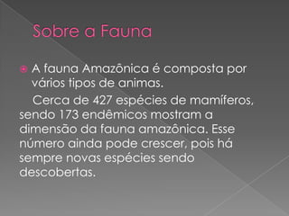  A fauna Amazônica é composta por
  vários tipos de animas.
  Cerca de 427 espécies de mamíferos,
sendo 173 endêmicos mostram a
dimensão da fauna amazônica. Esse
número ainda pode crescer, pois há
sempre novas espécies sendo
descobertas.
 