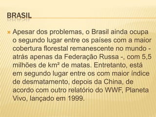 brasilApesar dos problemas, o Brasil ainda ocupa o segundo lugar entre os países com a maior cobertura florestal remanescente no mundo - atrás apenas da Federação Russa -, com 5,5 milhões de km² de matas. Entretanto, está em segundo lugar entre os com maior índice de desmatamento, depois da China, de acordo com outro relatório do WWF, Planeta Vivo, lançado em 1999.