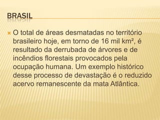 brasilO total de áreas desmatadas no território brasileiro hoje, em torno de 16 mil km², é resultado da derrubada de árvores e de incêndios florestais provocados pela ocupação humana. Um exemplo histórico desse processo de devastação é o reduzido acervo remanescente da mata Atlântica.