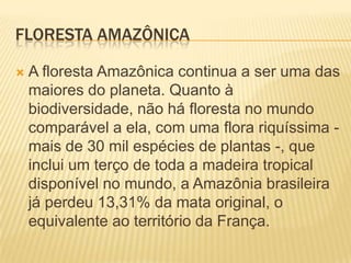 Floresta amazônicaA floresta Amazônica continua a ser uma das maiores do planeta. Quanto à biodiversidade, não há floresta no mundo comparável a ela, com uma flora riquíssima - mais de 30 mil espécies de plantas -, que inclui um terço de toda a madeira tropical disponível no mundo, a Amazônia brasileira já perdeu 13,31% da mata original, o equivalente ao território da França.