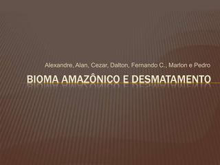 Alexandre, Alan, Cezar, Dalton, Fernando C., Marlon e PedroBioma Amazônico e desmatamento