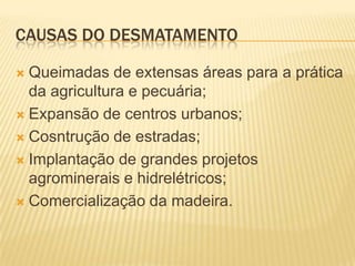 Causas do desmatamentoQueimadas de extensasáreaspara a práticadaagricultura e pecuária;Expansão de centrosurbanos;Cosntrução de estradas;Implantação de grandesprojetosagrominerais e hidrelétricos;Comercializaçãodamadeira.