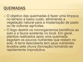 queimadasO objetivo das queimadas é fazer uma limpeza no terreno a baixo custo, eliminando a vegetação natural para a implantação de pasto ou de culturas agrícolas.O fogo destrói os microrganismos benéficos ao solo e a fauna existente no local. Em geral, plantios realizados após uma queimada esgotam os poucos nutrientes que restam no solo. A terra descoberta tem seus nutrientes levados pela chuva (lixiviação) tornando-se rapidamente improdutiva.