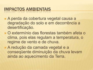 ImpactosAmbientaisA perda da cobertura vegetal causa a degradação do solo e em decorrência a desertificação.O extermínio das florestas também afeta o clima, pois elas regulam a temperatura, o regime de vento e de chuva.A redução da camada vegetal e a conseqüente diminuição da chuva levam ainda ao aquecimento da Terra.