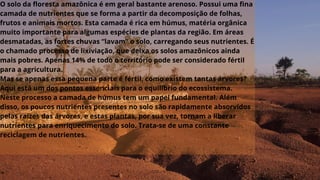 O solo da floresta amazônica é em geral bastante arenoso. Possui uma fina
camada de nutrientes que se forma a partir da decomposição de folhas,
frutos e animais mortos. Esta camada é rica em húmus, matéria orgânica
muito importante para algumas espécies de plantas da região. Em áreas
desmatadas, as fortes chuvas “lavam” o solo, carregando seus nutrientes. É
o chamado processo de lixiviação, que deixa os solos amazônicos ainda
mais pobres. Apenas 14% de todo o território pode ser considerado fértil
para a agricultura.
Mas se apenas essa pequena parte é fértil, como existem tantas árvores?
Aqui está um dos pontos essenciais para o equilíbrio do ecossistema.
Neste processo a camada de húmus tem um papel fundamental. Além
disso, os poucos nutrientes presentes no solo são rapidamente absorvidos
pelas raízes das árvores, e estas plantas, por sua vez, tornam a liberar
nutrientes para enriquecimento do solo. Trata-se de uma constante
reciclagem de nutrientes.
 