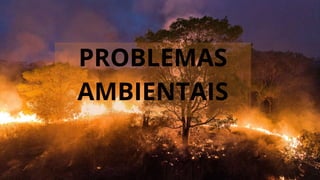 PROBLEMAS
AMBIENTAIS
 