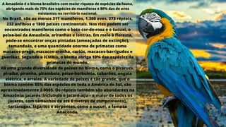 A Amazônia é o bioma brasileiro com maior riqueza de espécies da fauna,
abrigando mais de 73% das espécies de mamíferos e 80% das de aves
existentes no território nacional.
No Brasil, são ao menos 311 mamíferos, 1.300 aves, 273 répteis,
232 anfíbios e 1800 peixes continentais. Nos rios podem ser
encontrados mamíferos como o boto cor-de-rosa e o tucuxi, o
peixe-boi da Amazônia, ariranhas e lontras. Em meio à floresta,
pode-se encontrar onças pintadas (ameaçadas de extinção),
tamanduás, e uma quantidade enorme de primatas como
macacos-prego, macacos-aranha, curiús, macacos-barrigudos e
guaribas. Segundo o ICMBio, o bioma abriga 10% das espécies de
primatas do mundo.
Há uma grande diversidade de peixes no bioma, como o pirarucu,
piraíba, piranha, piramboia, peixe-borboleta, tubarões, enguia
elétrica, e arraias. A variedade de peixes é tão grande, que o
bioma contém 85% das espécies de toda a América do Sul, são
aproximadamente 2.0005. Os répteis também são abundantes na
Amazônia: jacarés (incluindo o jacaré-açu – o maior de todos os
jacarés, com tamanhos de até 6 metros de comprimento),
tartarugas, lagartos e serpentes, como a sucuri, a famosa
Anaconda.
 