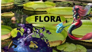 FLORA
 