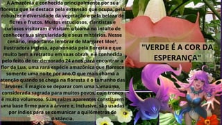 A Amazônia é conhecida principalmente por sua
floresta que se destaca pela extensão que ocupa, pela
robustez e diversidade da vegetação e pela beleza de
flores e frutos. Muitos estudiosos, cientistas e
curiosos visitaram e visitam o bioma no intuito de
conhecer sua singularidade e seus mistérios. Nesse
cenário, importante lembrar de Margaret Mee¹,
ilustradora inglesa, apaixonada pela floresta e que
muito bem a retratou em suas obras, e é conhecida
pelo feito de ter demorado 24 anos para encontrar a
flor da Lua, uma rara espécie amazônica que floresce
somente uma noite por ano.O que mais chama a
atenção quando se chega na floresta é o tamanho das
árvores. É mágico se deparar com uma Samaúma,
considerada sagrada para muitos povos, cujo tronco
é muito volumoso. Suas raízes aparentes constituem
uma base firme para a árvore e, inclusive, são usadas
por índios para se comunicar a quilômetros de
distância.
"VERDE É A COR DA
ESPERANÇA"
 