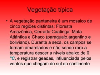 Vegetação típica A vegetação pantaneira é um mosaico de cinco regiões distintas: Floresta Amazônica, Cerrado,Caatinga, Mata Atlântica e Chaco (paraguaio,argentino e boliviano). Durante a seca, os campos se tornam amarelados e não sendo raro a temperatura descer a níveis abaixo de 0  °C , e registrar geadas, influenciada pelos ventos que chegam do sul do continente  