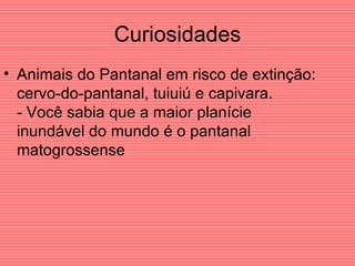 Curiosidades Animais do Pantanal em risco de extinção: cervo-do-pantanal, tuiuiú e capivara. - Você sabia que a maior planície inundável do mundo é o pantanal matogrossense  