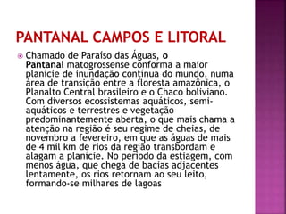 Chamado de Paraíso das Águas, o 
Pantanal matogrossense conforma a maior 
planície de inundação contínua do mundo, numa 
área de transição entre a floresta amazônica, o 
Planalto Central brasileiro e o Chaco boliviano. 
Com diversos ecossistemas aquáticos, semi-aquáticos 
e terrestres e vegetação 
predominantemente aberta, o que mais chama a 
atenção na região é seu regime de cheias, de 
novembro a fevereiro, em que as águas de mais 
de 4 mil km de rios da região transbordam e 
alagam a planície. No período da estiagem, com 
menos água, que chega de bacias adjacentes 
lentamente, os rios retornam ao seu leito, 
formando-se milhares de lagoas 
 