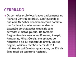  Os cerrados estão localizados basicamente no 
Planalto Central do Brasil. Configurando o 
que Aziz Ab´Saber denominou como domínio 
morfoclimático, eles correspondem à 
extensão de chapadões tropicais com 
cerrados e matas-galeria. Há também 
fragmentos de cerrado em Roraima, Amapá, 
Amazonas, Minas Gerais, em estados do 
Nordeste e no sul-sudeste do Brasil. Em sua 
origem, o bioma recobria cerca de 2,1 
milhões de quilômetros quadrados, ou 23% da 
área total do território nacional. 
 