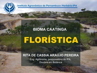 Instituto Agronômico de Pernambuco /Herbário-IPA FLORÍSTICA BIOMA CAATINGA RITA DE CASSIA ARAÚJO PEREIRA Eng. Agrônoma, pesquisadora do IPA,  Doutora em Botânica 