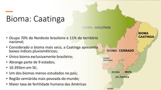 Bioma: Caatinga
• Ocupa 70% do Nordeste brasileiro e 11% do território
nacional;
• Considerado o bioma mais seco, a Caatinga apresenta
baixos índices pluviométricos;
• Único bioma exclusivamente brasileiro;
• Abrange parte de 9 estados;
• 10.395km em SE;
• Um dos biomas menos estudados no país;
• Região semiárida mais povoada do mundo;
• Maior taxa de fertilidade humana das Américas
 