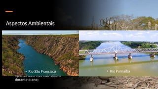 Aspectos Ambientais
• Edafoclimaticos:
• Solos rasos e presença de
afloramentos rochosos;
• Predomina o tipo argiloso
vermelho encontrado
também arenoso;
• 50 a 70% das chuvas estão
concentradas em 3 meses;
• Apenas dois rios não secam
durante o ano;
• Rio São Francisco • Rio Parnaiba
 