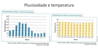 Pluviosidade e temperatura
 