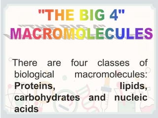 There are four classes of
biological macromolecules:
Proteins, lipids,
carbohydrates and nucleic
acids
 