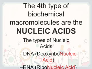 The 4th type of
biochemical
macromolecules are the
NUCLEIC ACIDS
The types of Nucleic
Acids
–DNA (DeoxyriboNucleic
Acid)
 