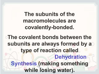 The subunits of the
macromolecules are
covalently-bonded.
The covalent bonds between the
subunits are always formed by a
type of reaction called
Dehydration
Synthesis (making something
while losing water).
 
